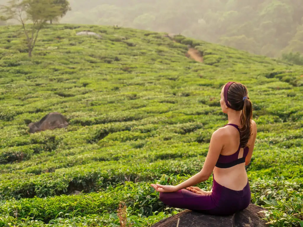 Yoga Tipps für Anfänger