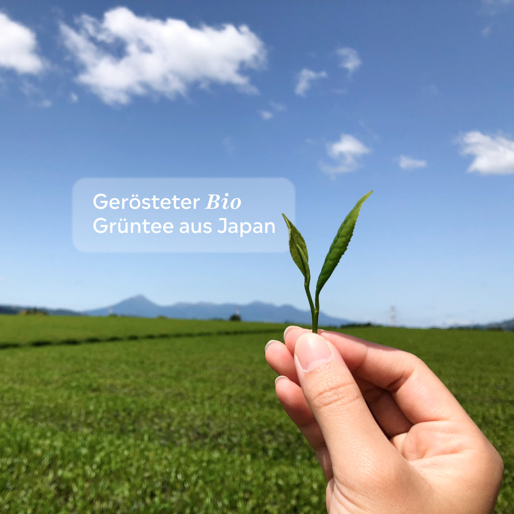 Hojicha bio 30g | Matcha grillé