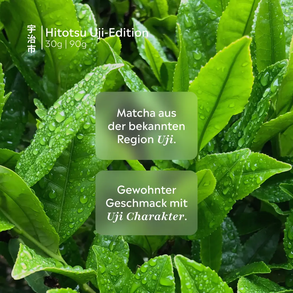 Organic Matcha Hitotsu