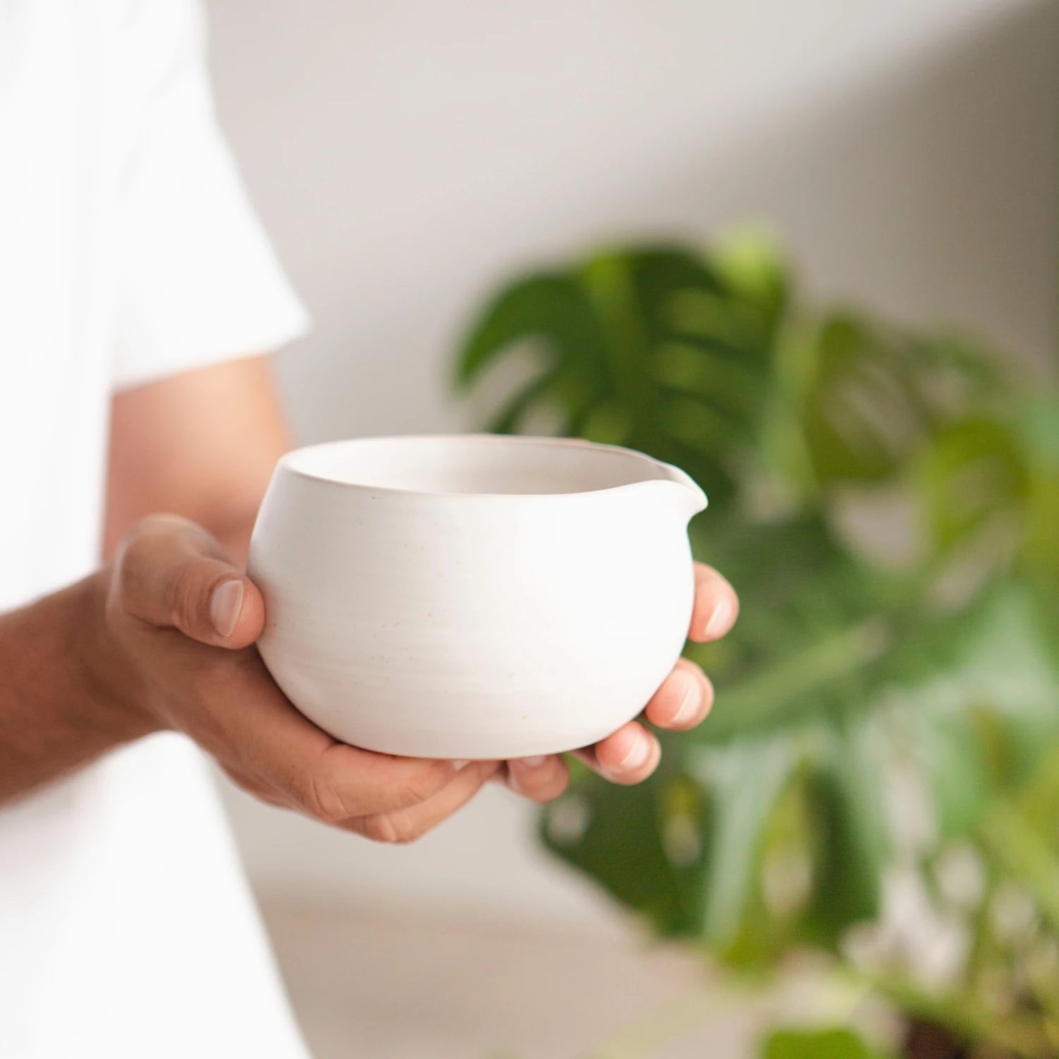 Matcha Shell (Chawan) Miruku
